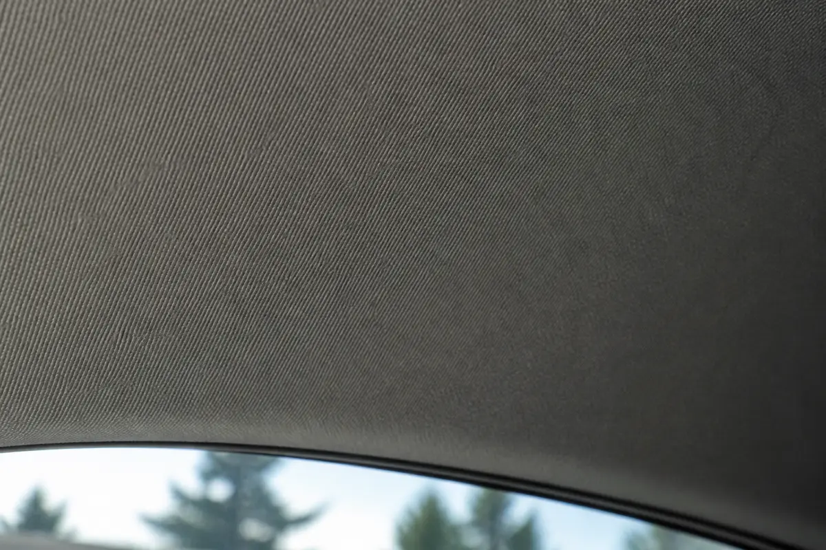 Vue rapprochée d'un tissu pour ciel de toit de voiture avec des arbres flous.